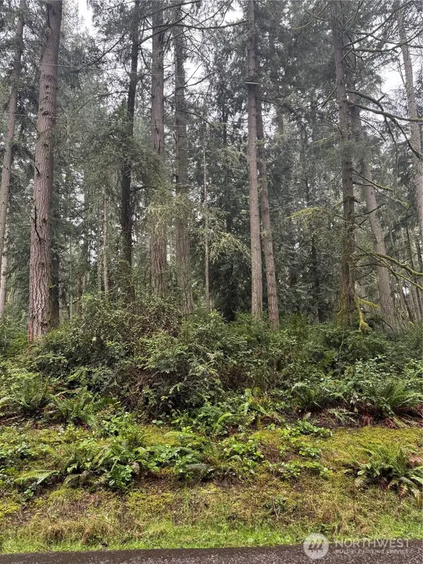 12708 Lovass Road #18, Anderson Island, WA 98303