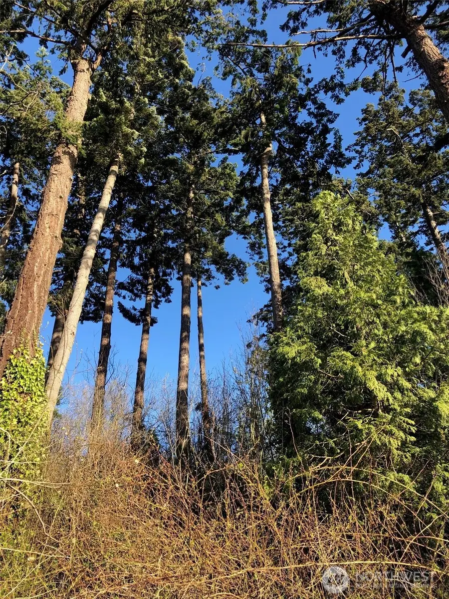 7417 Jackson Road, Blaine, WA 98230 - #2