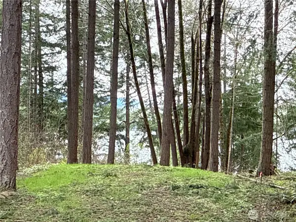 18243 SE Suncrest Court #4, Yelm, WA 98597