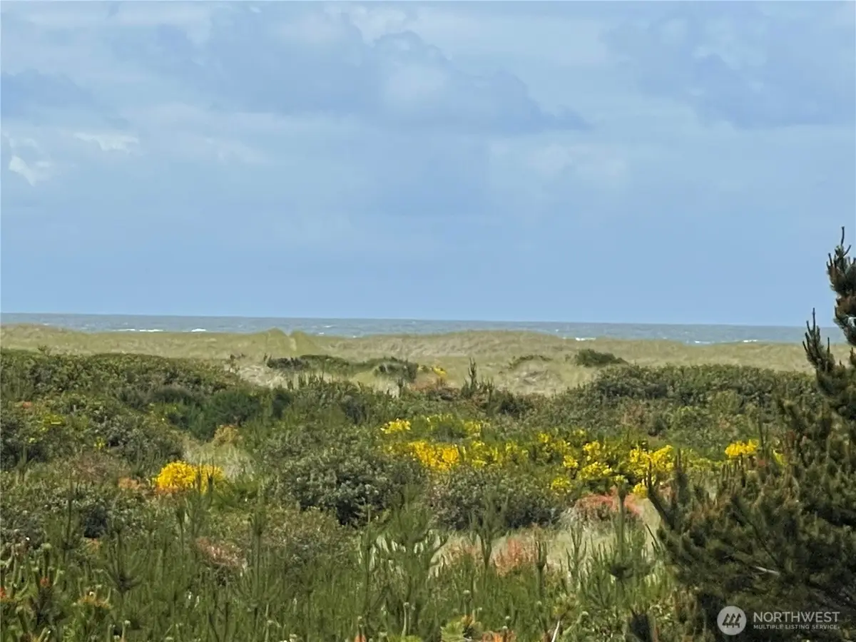 855 S Sand Dune Avenue Sw, Ocean Shores, WA 98569 - Image #1