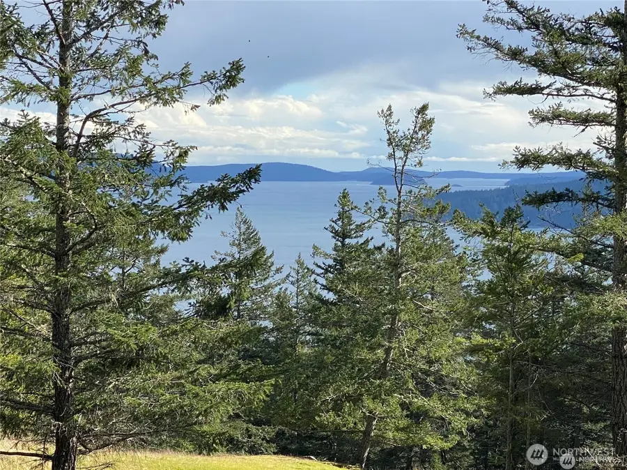 9 Tomihi Drive #9, Orcas, WA 98245 - Image #2