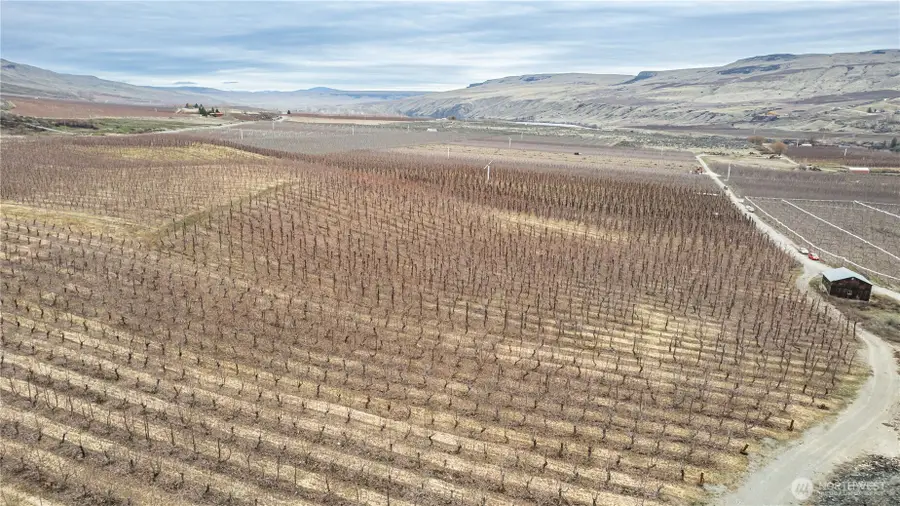 545 Jack Wells Road, Bridgeport, WA 98813 - Image #3