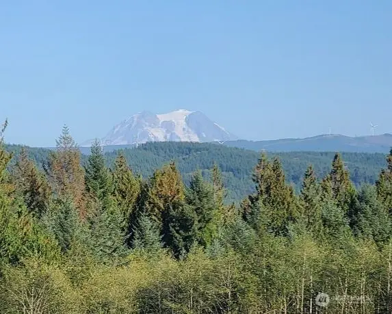 0 Little Hanaford #B, Centralia, WA 98531 - Image #3