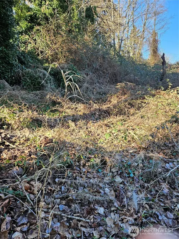 13610 Macadam Road S, Tukwila, WA 98168