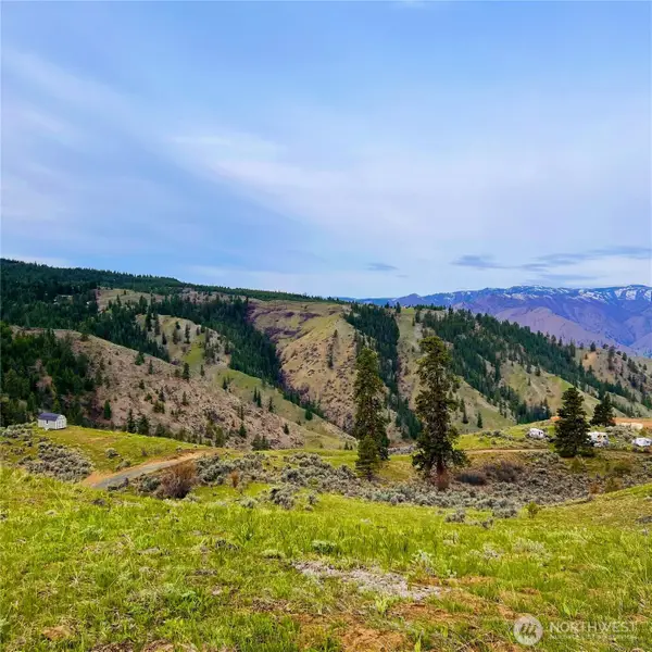 66 Coyote Lane, Waterville, WA 98843