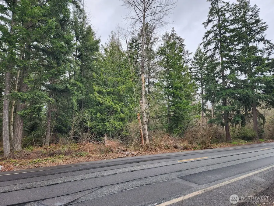 0 126th Avenue E, Graham, WA 98338 - Image #2