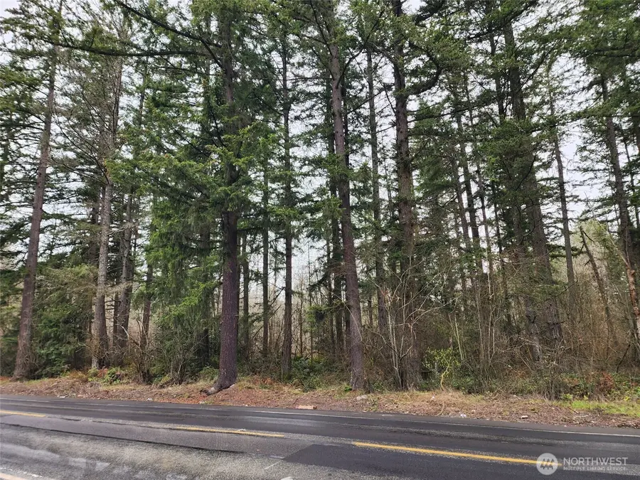 0 126th Avenue E, Graham, WA 98338 - Image #3