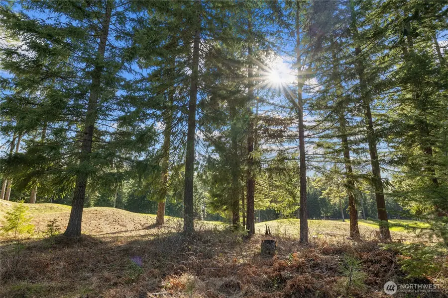 130 Rocking Chair Road #1-2-164, Cle Elum, WA 98922 - Image #2