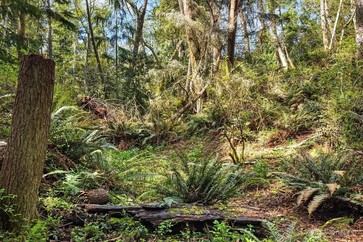 8042 Island Court, Clinton, WA 98236 - #1