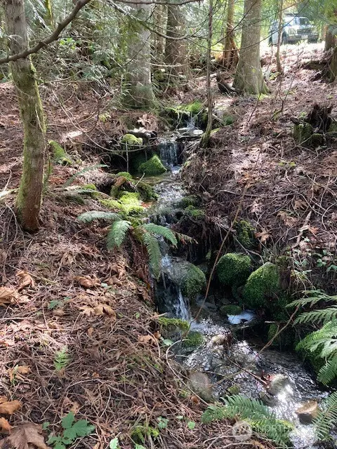 110 N Dow Mountain Drive #137, 138, Hoodsport, WA 98548 - Image #2