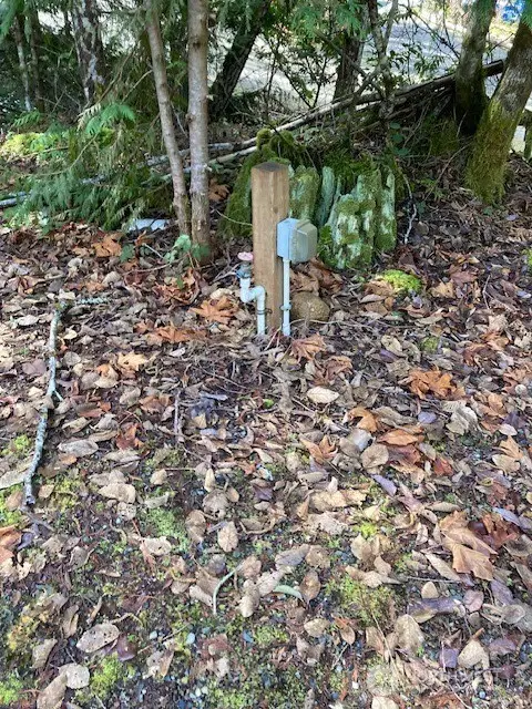 110 N Dow Mountain Drive #137, 138, Hoodsport, WA 98548 - Image #3