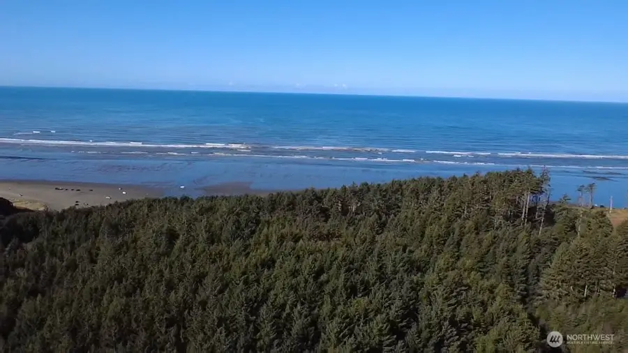 5 & 6 Roosevelt Beach Lots, Pacific Beach, WA 98571 - Image #3