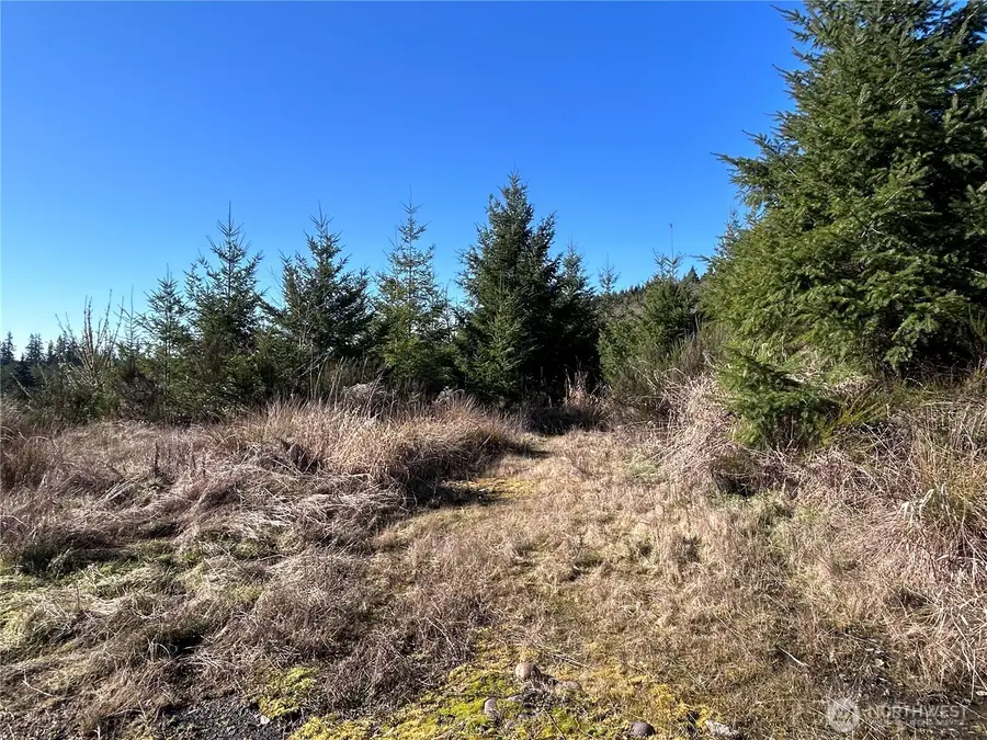 0 Salmon Creek Road, Toledo, WA 98591 - Image #2