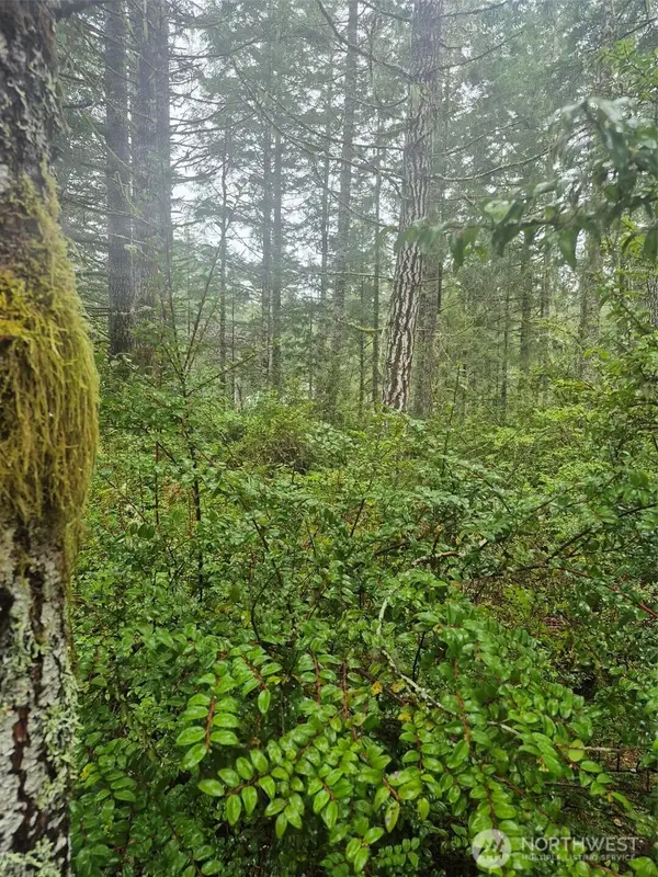 470 E Michelle Drive #Parcel 3, Union, WA 98592