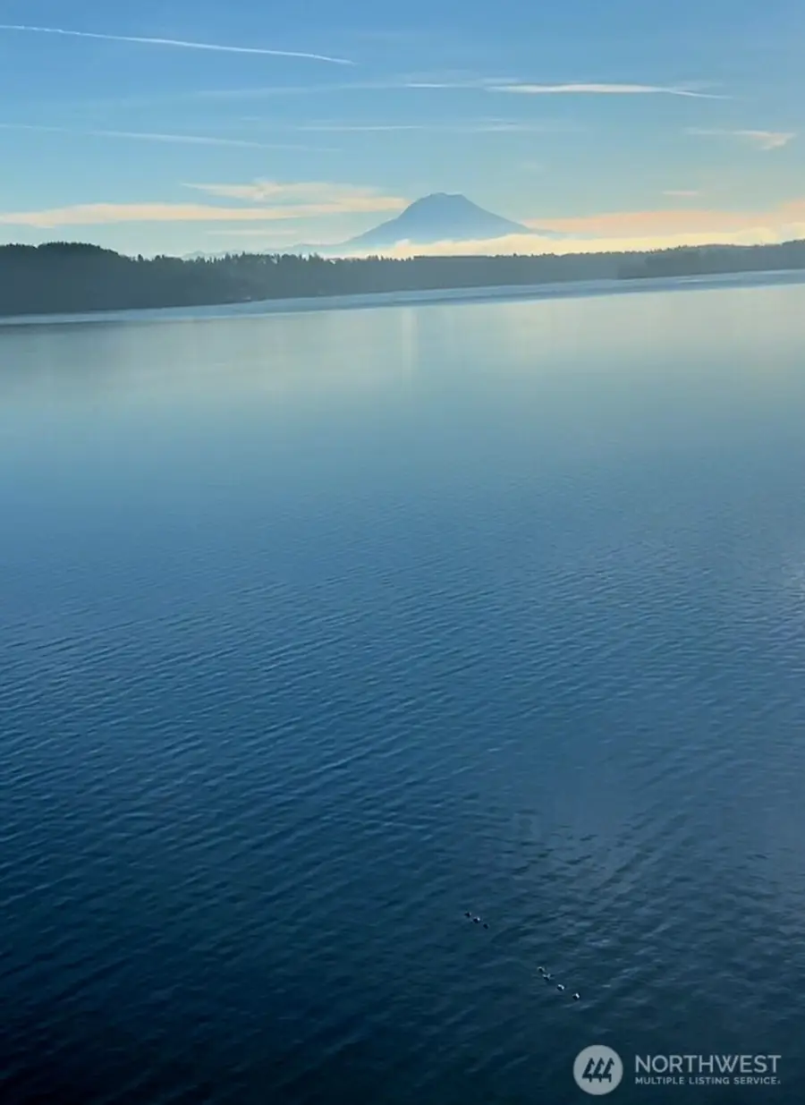 14811 71st Street Nw, Lakebay, WA 98349 - Image #3