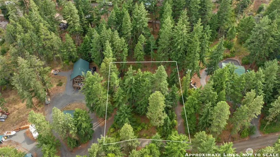100 Klancie Lane, Cle Elum, WA 98922 - Image #2