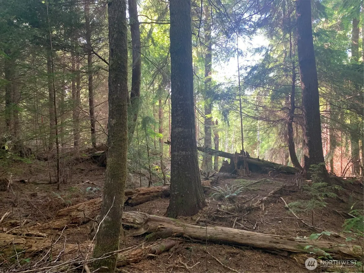 1 Parpala Road #Tract 1, Naselle, WA 98638 - Image #1