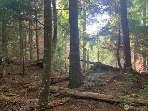 1 Parpala Road #Tract 1, Naselle, WA 98638