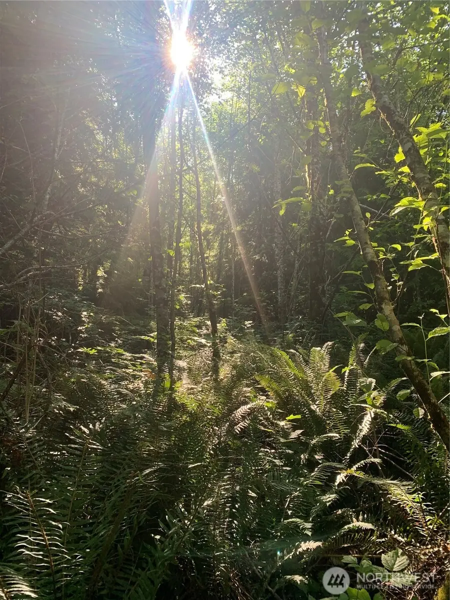 1 Parpala Road #Tract 1, Naselle, WA 98638 - Image #2