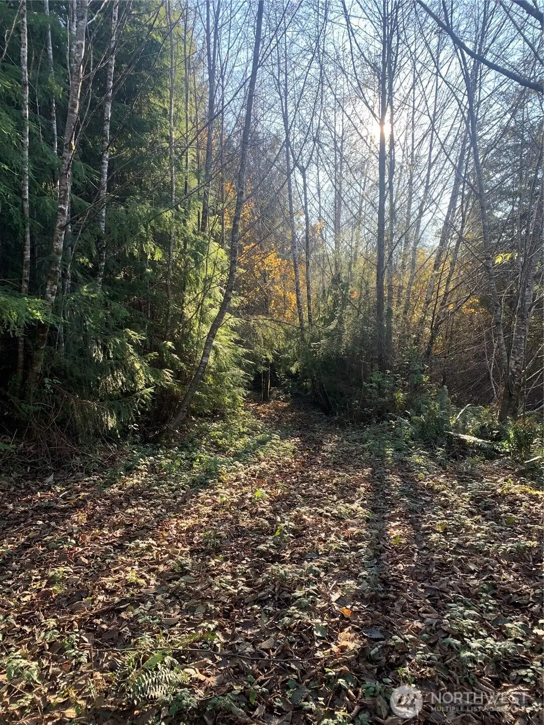 3 Parpala Road #Tract 3, Naselle, WA 98638 - Image #1