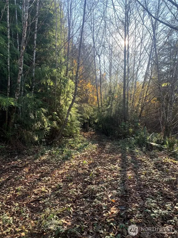 3 Parpala Road #Tract 3, Naselle, WA 98638