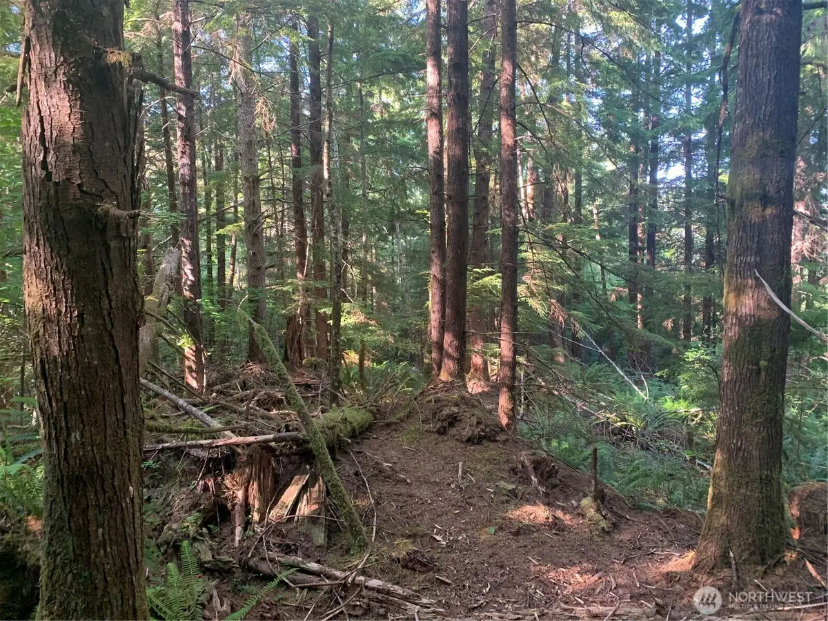 4 Parpala Road #Tract 4, Naselle, WA 98638 - #1