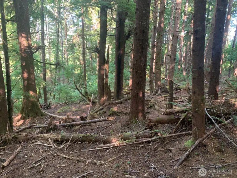 4 Parpala Road #Tract 4, Naselle, WA 98638 - #3