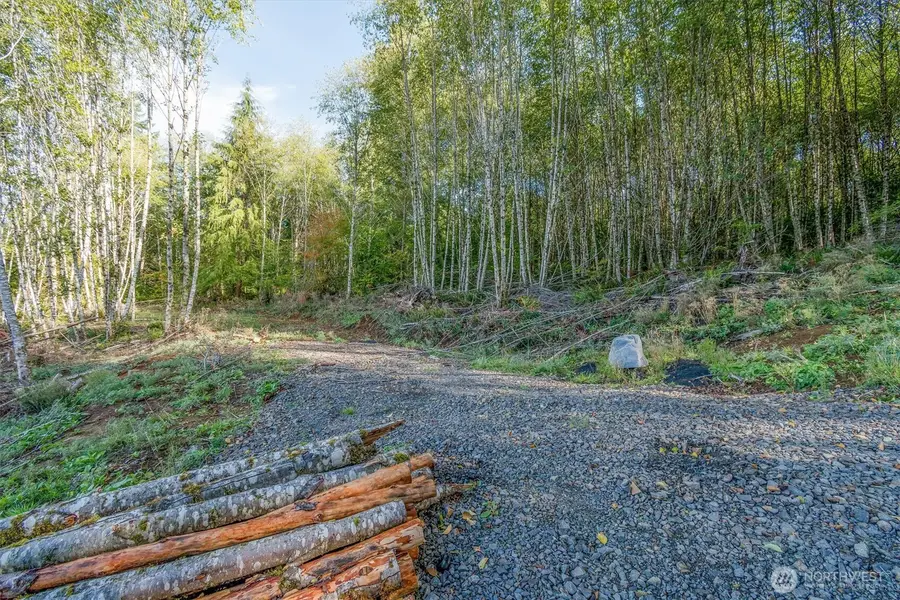 217 Deer Fern Lane, Longview, WA 98632 - Image #2