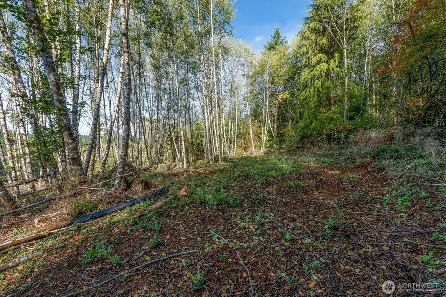 217 Deer Fern Lane, Longview, WA 98632 - Image #3