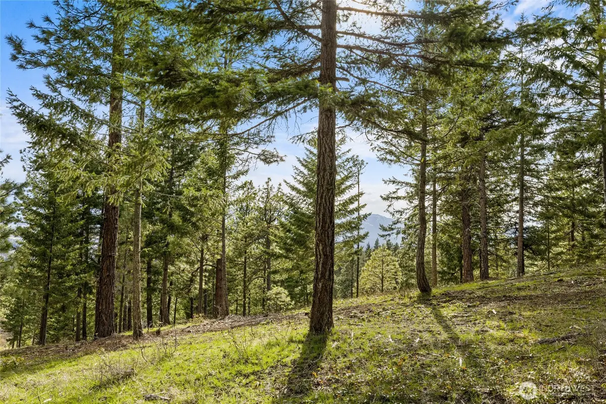 0 Game Trail Road #6, Cle Elum, WA 98922 - Image #1