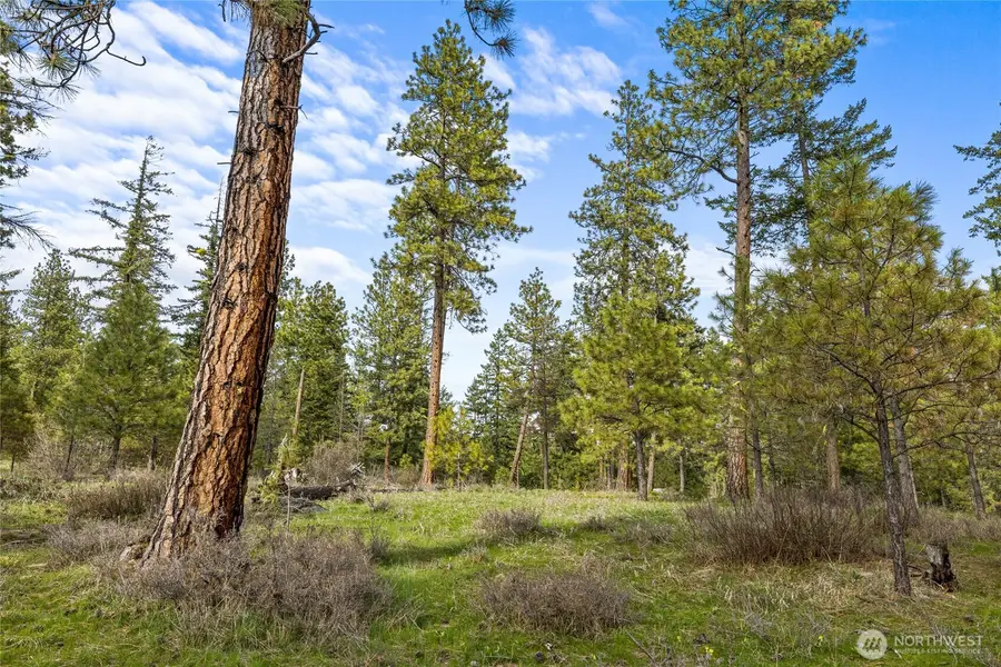 0 Game Trail Road #6, Cle Elum, WA 98922 - Image #2