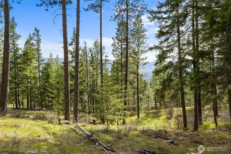 0 Game Trail Road #6, Cle Elum, WA 98922 - Image #3