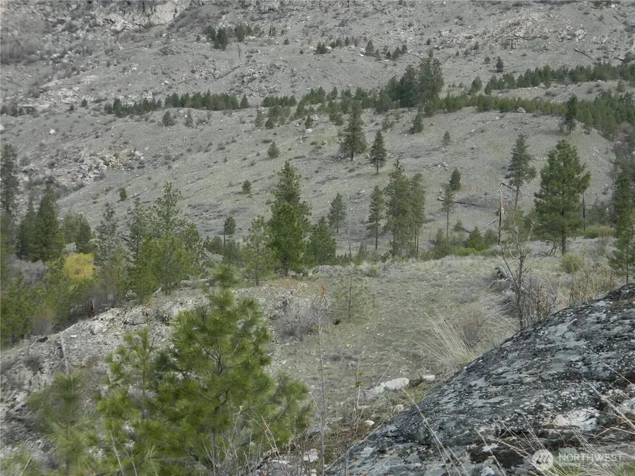 111 Tbd Six Gun Way, Tonasket, WA 98855 - #2