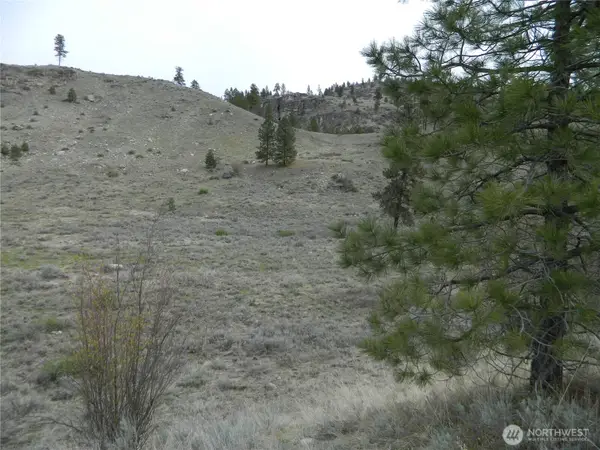 11 Tbd Six Gun Way, Tonasket, WA 98855