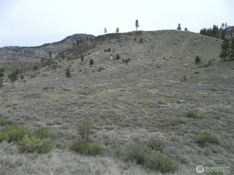 11 Tbd Six Gun Way, Tonasket, WA 98855 - #2