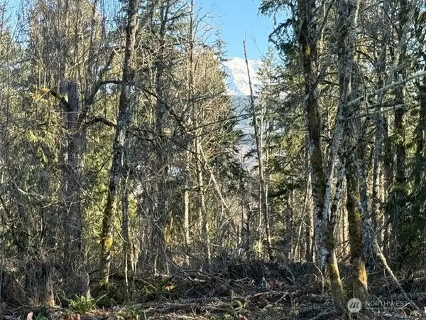 29512 152nd Avenue E, Graham, WA 98338