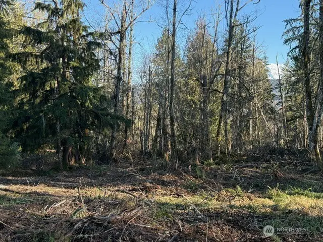 29512 152nd Avenue E, Graham, WA 98338 - Image #3