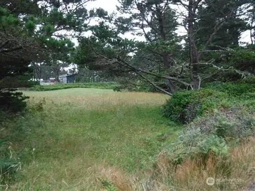 0 198th Place #17, Long Beach, WA 98631