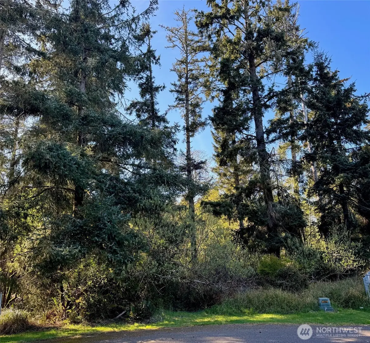186 Murphy Court Se #35, Ocean Shores, WA 98569 - Image #1