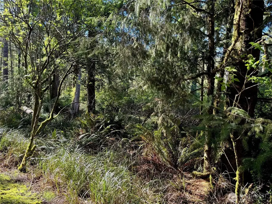 186 Murphy Court Se #35, Ocean Shores, WA 98569 - Image #2