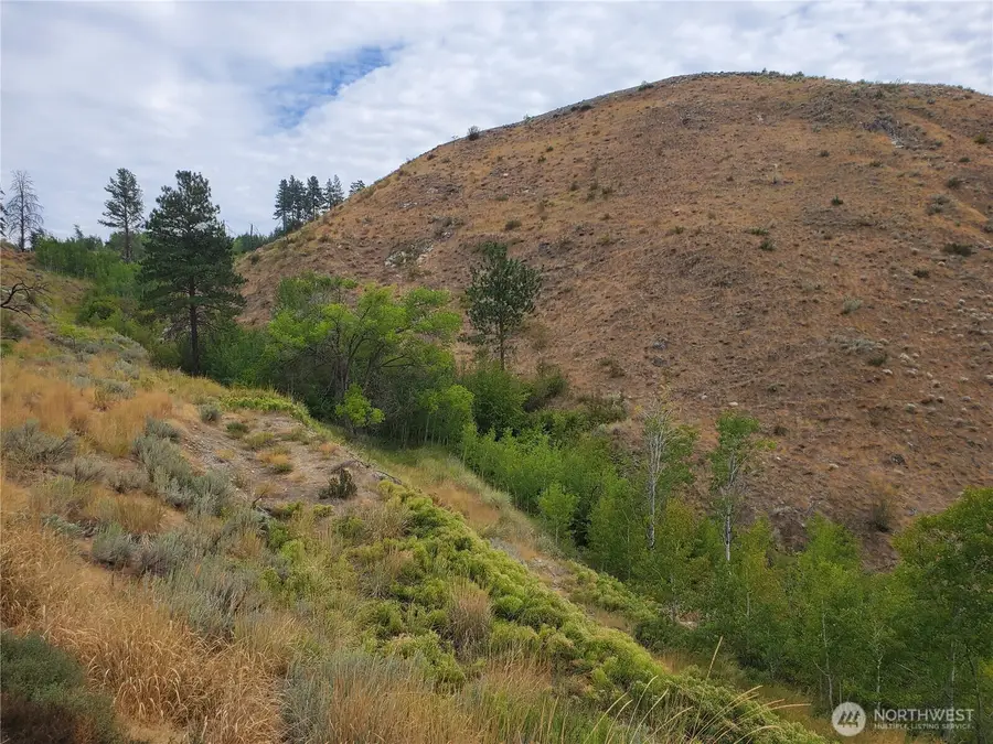 6 Cowboy Road #Lot 6, Methow, WA 98834 - Image #3