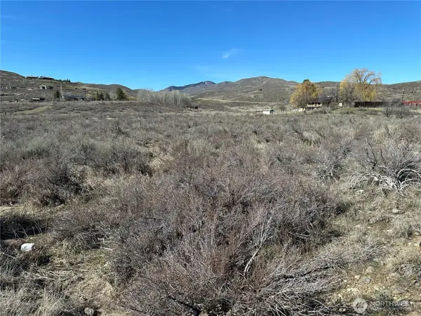 81 W Chewuch Road #1, Winthrop, WA 98862