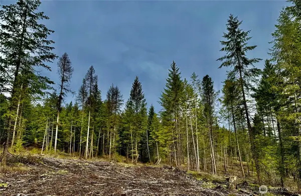 6200 Brisbois Road, Fruitland, WA 99129