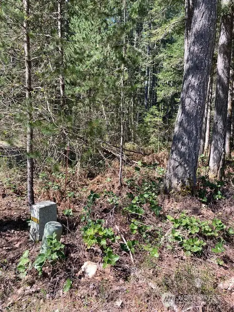 131 N Rainbow Way #85, Hoodsport, WA 98548