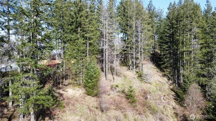 50215 146th Avenue E, Eatonville, WA 98328 - Image #2