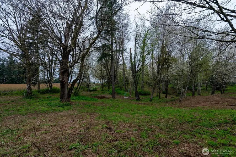 1822 E Pole Road, Everson, WA 98247 - Image #3