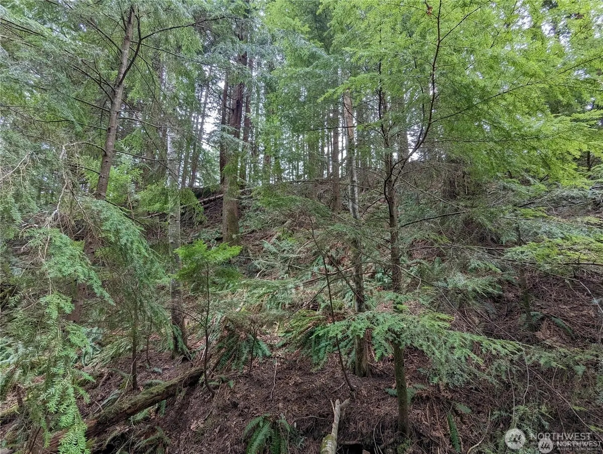 14 Black Bear Court, Bellingham, WA 98229 - Image #1