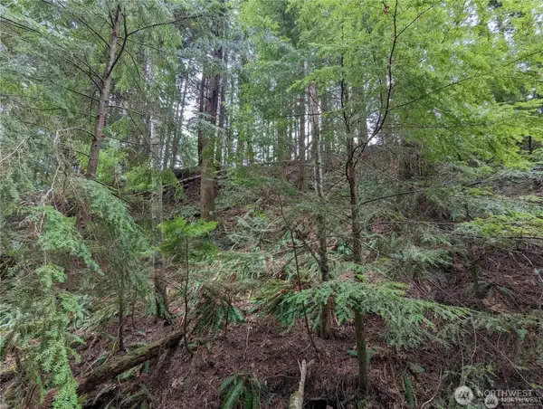 14 Black Bear Court, Bellingham, WA 98229