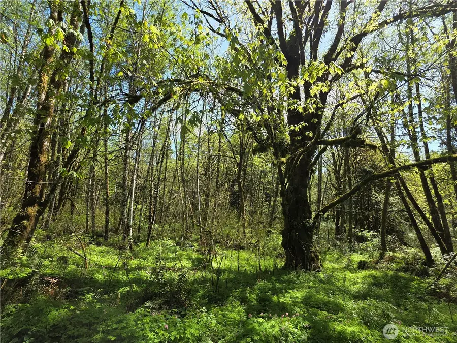 0 Mill Falls Lane #6, Longview, WA 98632 - Image #2