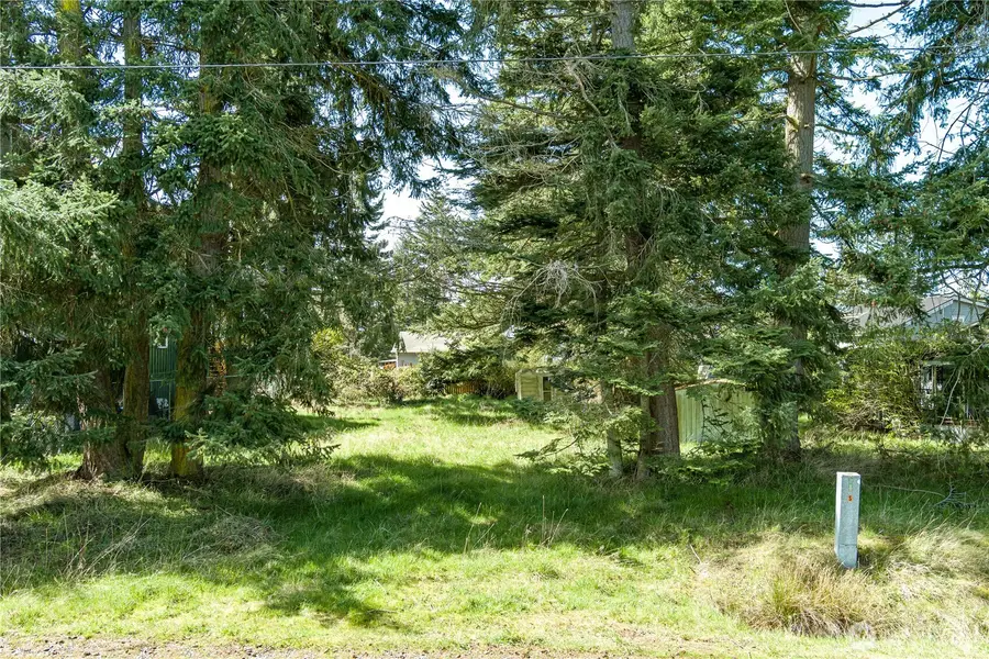 3544 Smugglers Cove Road, Greenbank, WA 98253 - Image #2